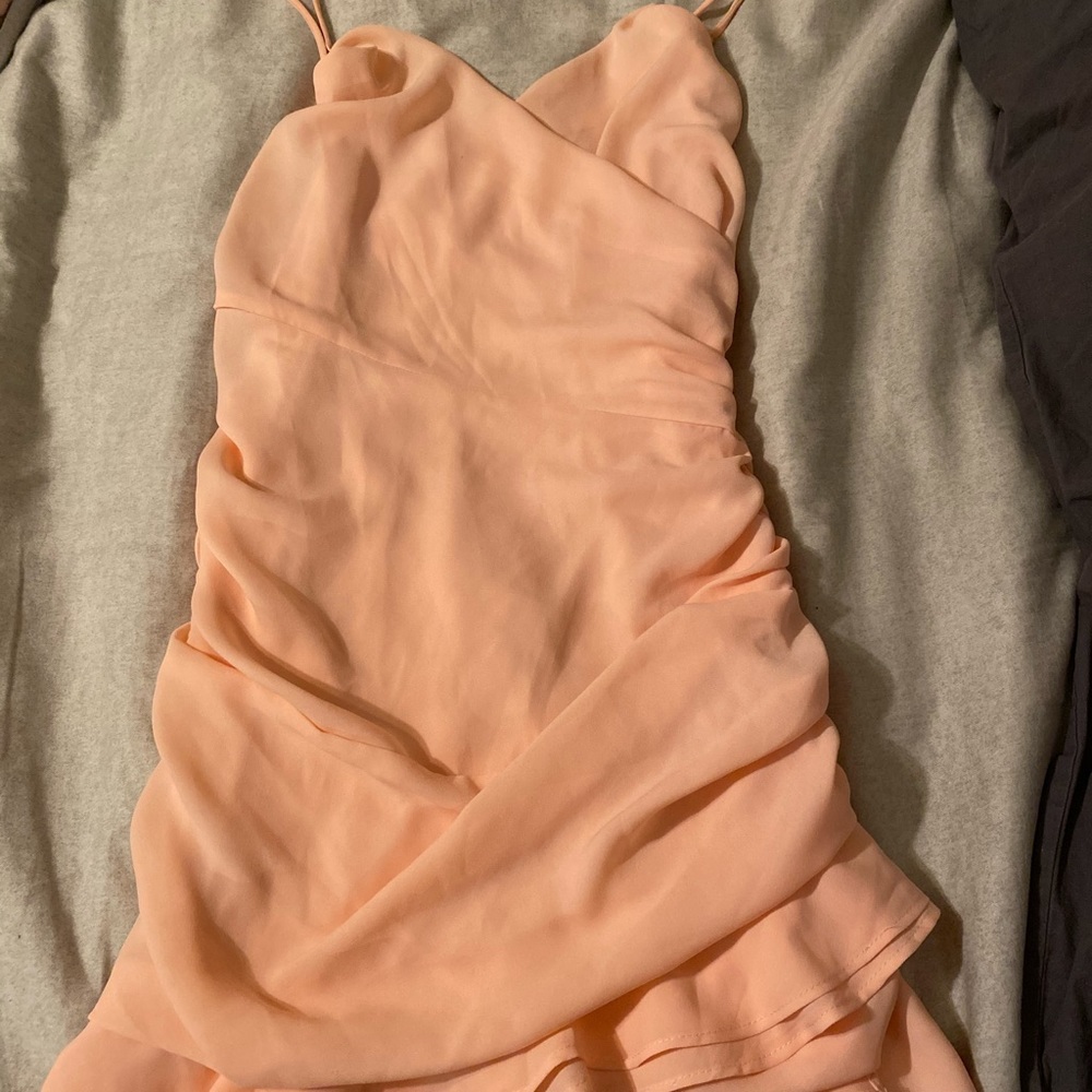 Lucy in the Sky Avianna Pleated Ruffle Dress in Blush